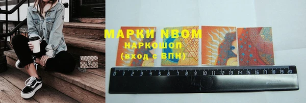 крисы Алзамай
