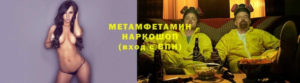 крисы Алзамай