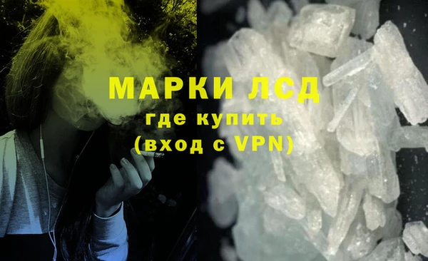 крисы Алзамай